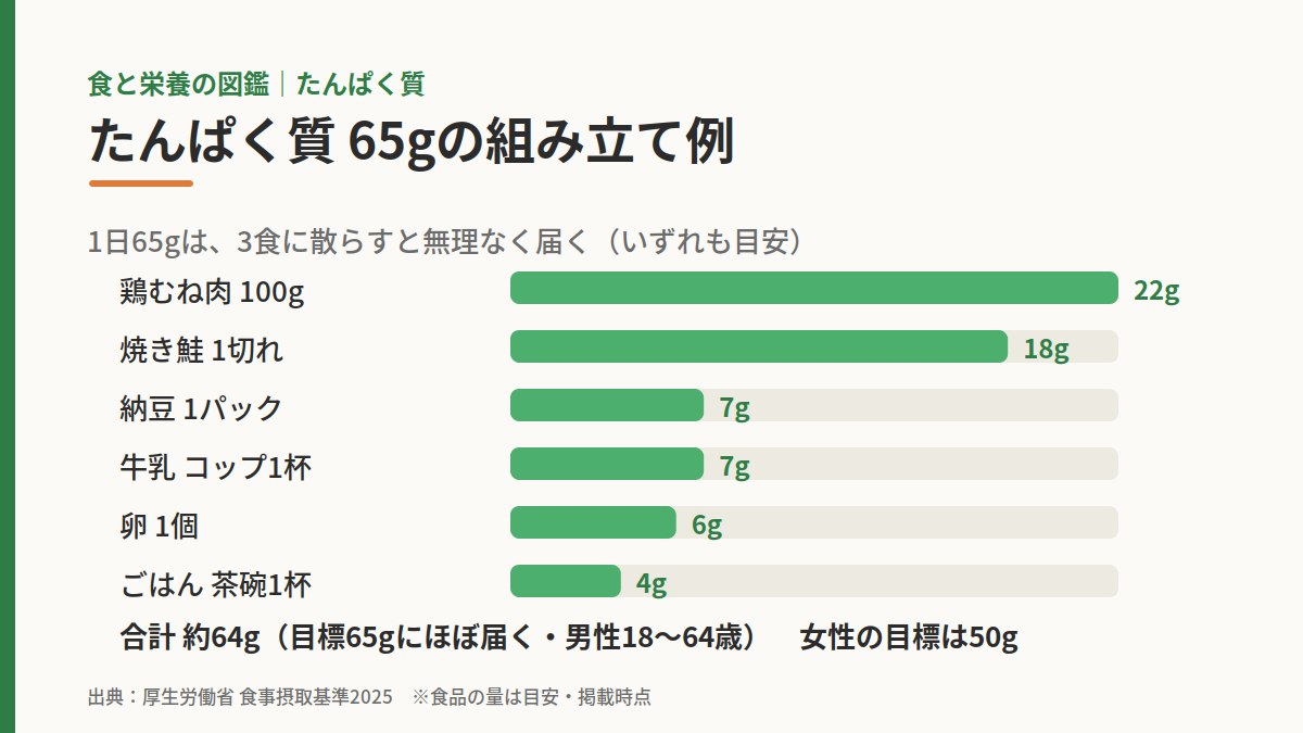 たんぱく質65gを身近な食品で組み立てた例を示した図